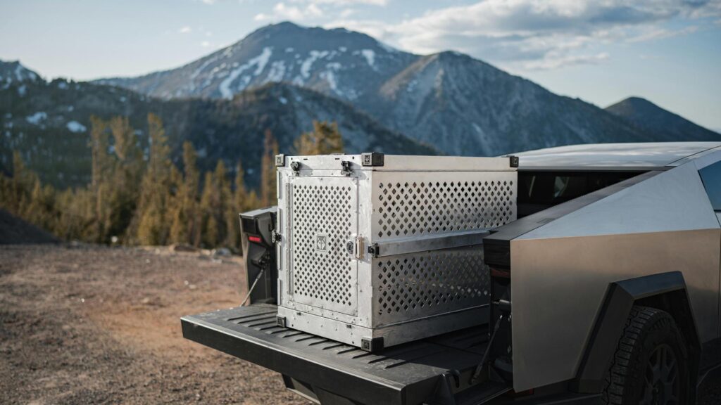 tesla cybertruck