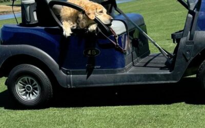 Lithium Batteries and the Silent Revolution of Golf Cart Mobility